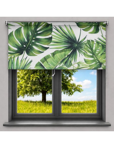 Tenda a Rullo su misura Big