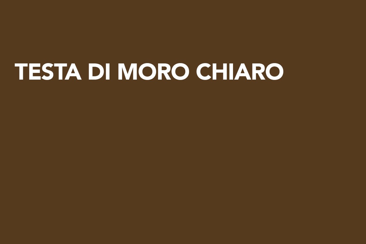 Testa di moro chiaro