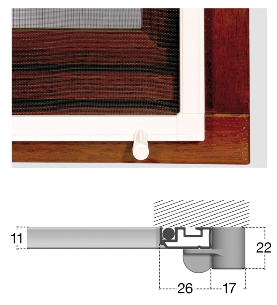 Attacco a coccinella