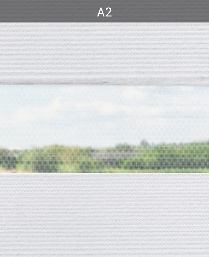 A2