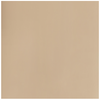 COL.22 DAINO